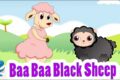 Baa, Baa, Black Sheep